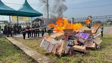 Bea Cukai Langsa Hancurkan Rokok dan Hewan Ilegal