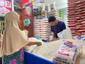 Atasi Isu Beras Oplosan, Pemerintah diharap Berdayakan Petani  