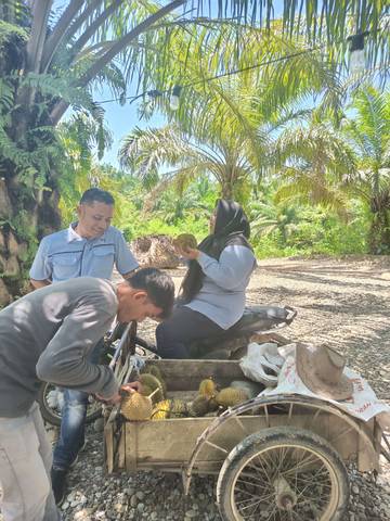Durian Pante Bahagia yang Mengunggah Selera