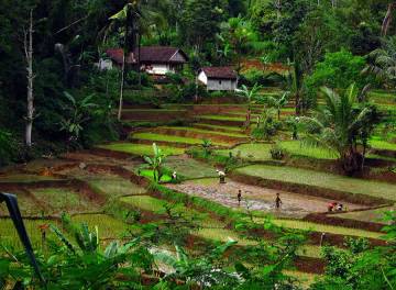 Konsep Wisata Ramah Lingkungan Menurut Ahli hingga Anjuran PBB