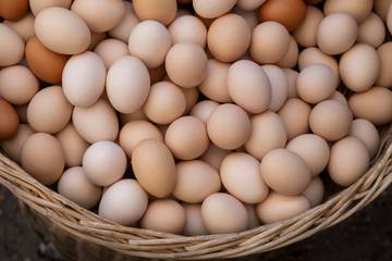 Ini 5 Perbedaan Telur Ayam, Jangan Hanya Tergoda Harga