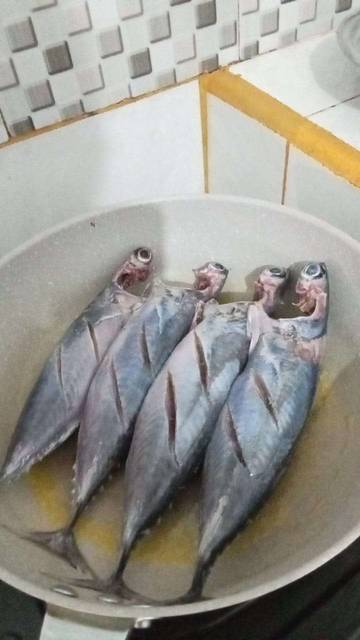  Tips Hilangkan Bau Amis Tongkol