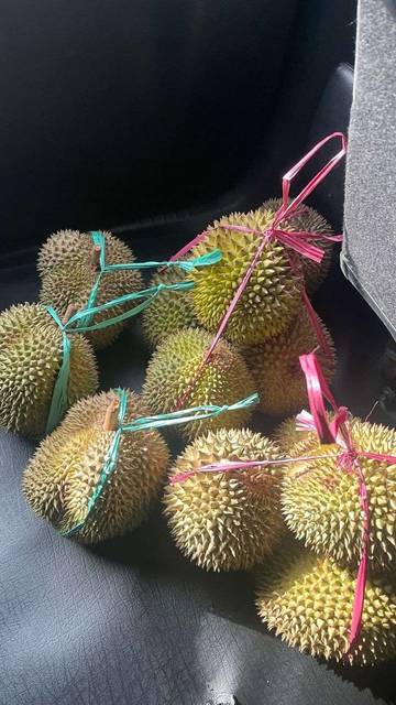 Fakta Uniknya datang Musim Durian
