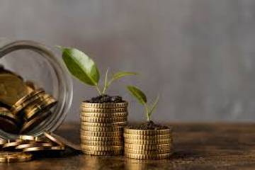 Investasi Cerdas untuk Pemula