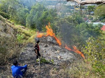 Damkar Cepat Padamkan Kebakaran Lahan Blang Panyang