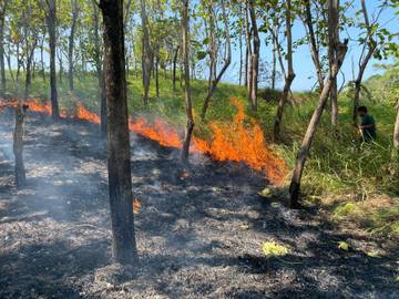 Kebakaran Lahan 700 Meter di Muara Dua