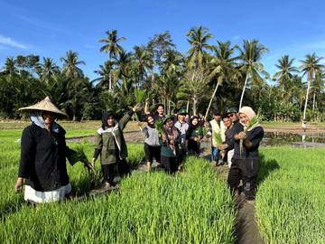 HIMAGRI Unimal Mulai Penanaman Padi Sistem Jajar Legowo