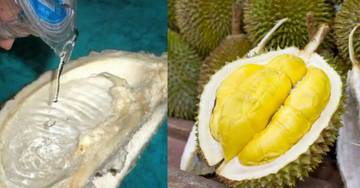 Rahasia Kulit Durian: Manfaat atau Sekadar Mitos?