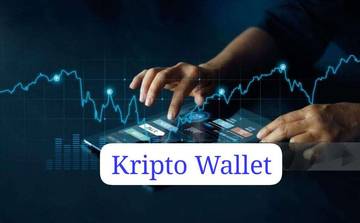 Cara Menyimpan Aset Digital Crypto Wallet dengan Aman