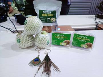 Jambu Kristal Dan Merak Disulap Jadi Produk Unggulan Ndalem Kerto