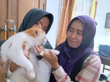 Ningrum (Cat Lovers) Sediakan Budget 2 Juta/Bulan Untuk Piara 28 Kucing