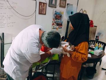 Layanan Vaksin, Suntik Vitamin, Scabies dan Steril di Posyandu Kucing