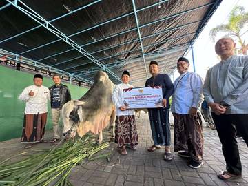 Sapi Presiden Diterima Takmir Masjid Agung Baiturrahman Ngawi