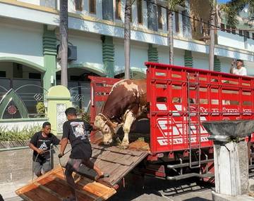 Manajemen Sawojajar Farm Pastikan Sapi Kurban Presiden Sehat
