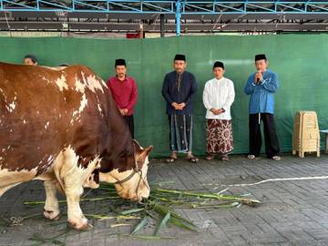 Masjid Agung Baiturrahman Ngawi Sembelih 8 Ekor Sapi