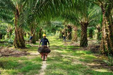 Kunci ANJT Selalu Teratas di Pemeringkatan ESG Global