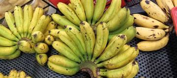 Catat, Ini Dia Buah Indonesia Sesuai Dengan Musimnya