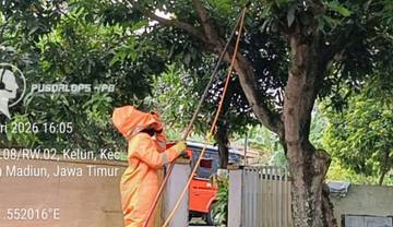 BPBD Kota Madiun Catat Banyak Laporan Animal Rescue Selama Januari
