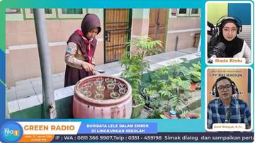 Potensi Cuan: Budidaya Ikan Lele Dalam Ember