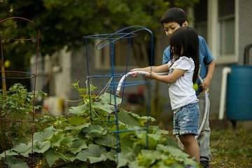 Ajak si Kecil Berkebun Selain Seru juga Banyak Manfaatnya