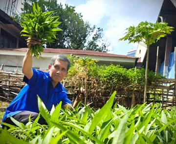 Urban Farming, Hobi Bercocok Tanam dilahan Sempit