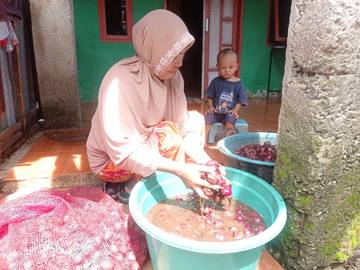 Perjuangan Buruh Pengupas Bawang, Kerja Sambil Momong Anak