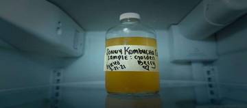 Kombucha, Olahan Fermentasi Teh Hitam Kaya Manfaat