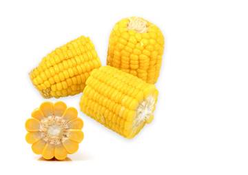 Jagung Memiliki Potensi Ekonomi Bagi Masyarakat Perkotaan