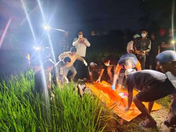 Warga Wajo Digegerkan Penemuan Mayat Laki-Laki di Tengah Sawah 
