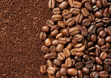 Tips Memilih Biji Kopi Agar Menghasilkan Kopi Terbaik
