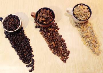 Mengenal Perbedaan Jenis Kopi Arabika Dan Rebusta Serta Karateristiknya