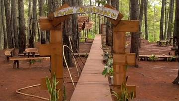 Hutan Pinus Buntu Datu: Pesona Teduh dari Toraja