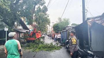 Bhabinkamtibmas Polsek KPN Dampingi Pemangkasan Pohon 