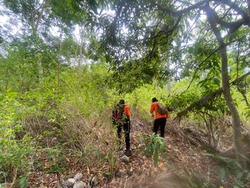 Basarnas Lanjutkan Pencarian Lansia Hilang di Selayar