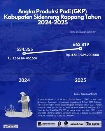 Produksi Padi Sidrap Naik Signifikan Tahun 2025