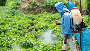 Petani Mengeluh, Harga Pestisida di Sulsel Melonjak