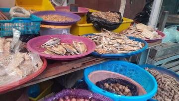 Konsumsi Ikan Asin Harus Bijak Demi Kesehatan