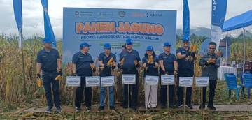 Program Agrosolution Pupuk Kaltim Sukses di Maros