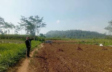 Gunung Gondomayit Pada Masa Jawa Kuno