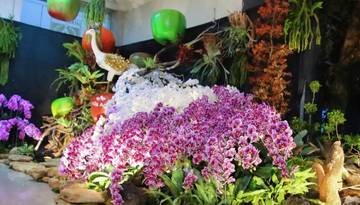 Batu Shining Orchids Week 2025 Dorong Ekonomi Wisata