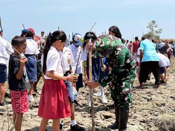 Satgas Pamtas Tanam 1.000 Mangrove di Perbatasan Kupang