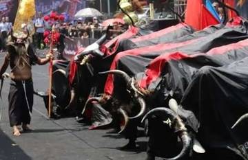Hibriditas Budaya Bantengan Mberot di Malang