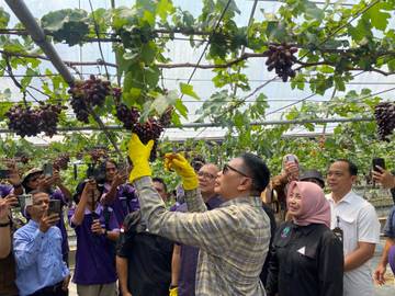 Duta Pengangguran, Destinasi Agro-Eduwisata Baru di Kota Malang