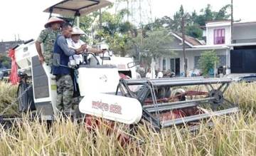 HKTI Kabupaten Malang Uji Coba Varietas Padi Organik