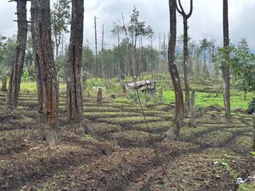 Hulu Sungai Paron di Bulukerto Batu Degradasi Lahan
