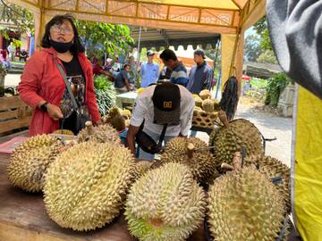 Bazar Durian Digelar di Lereng Kelud Sumberasri Blitar