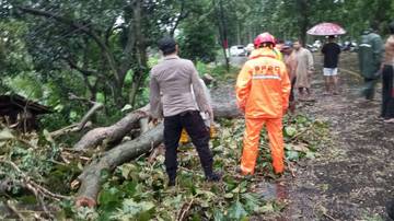 Cuaca Ekstrem, Jembatan Putus Hingga Pohon Tumbang