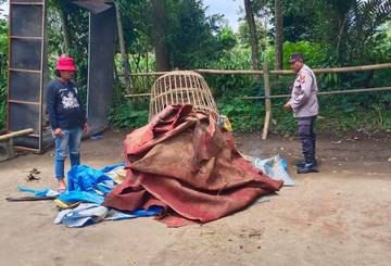 Polres Malang Bongkar Arena Sabung Ayam di Poncokusumo