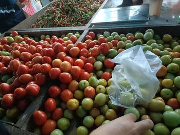 Harga Tomat Melonjak Tajam Di Pasar Induk 