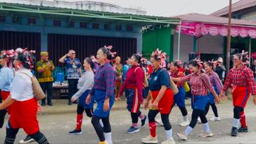 Tampilan Nyentrik Uwak Bengalun Hebohkan Warga Malinau Kota 